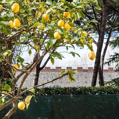 Lemon House Yellow Pisa Exterior photo