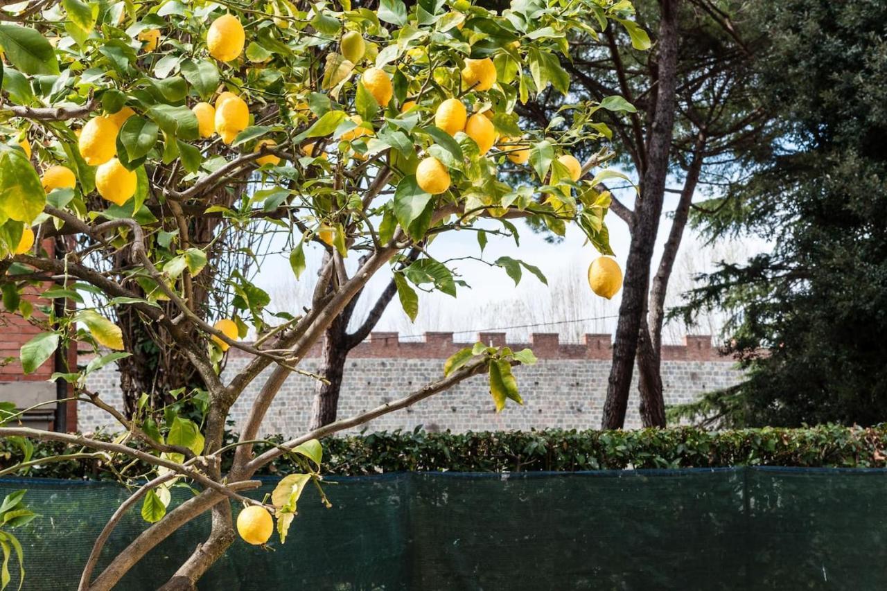 Lemon House Yellow Pisa Exterior photo